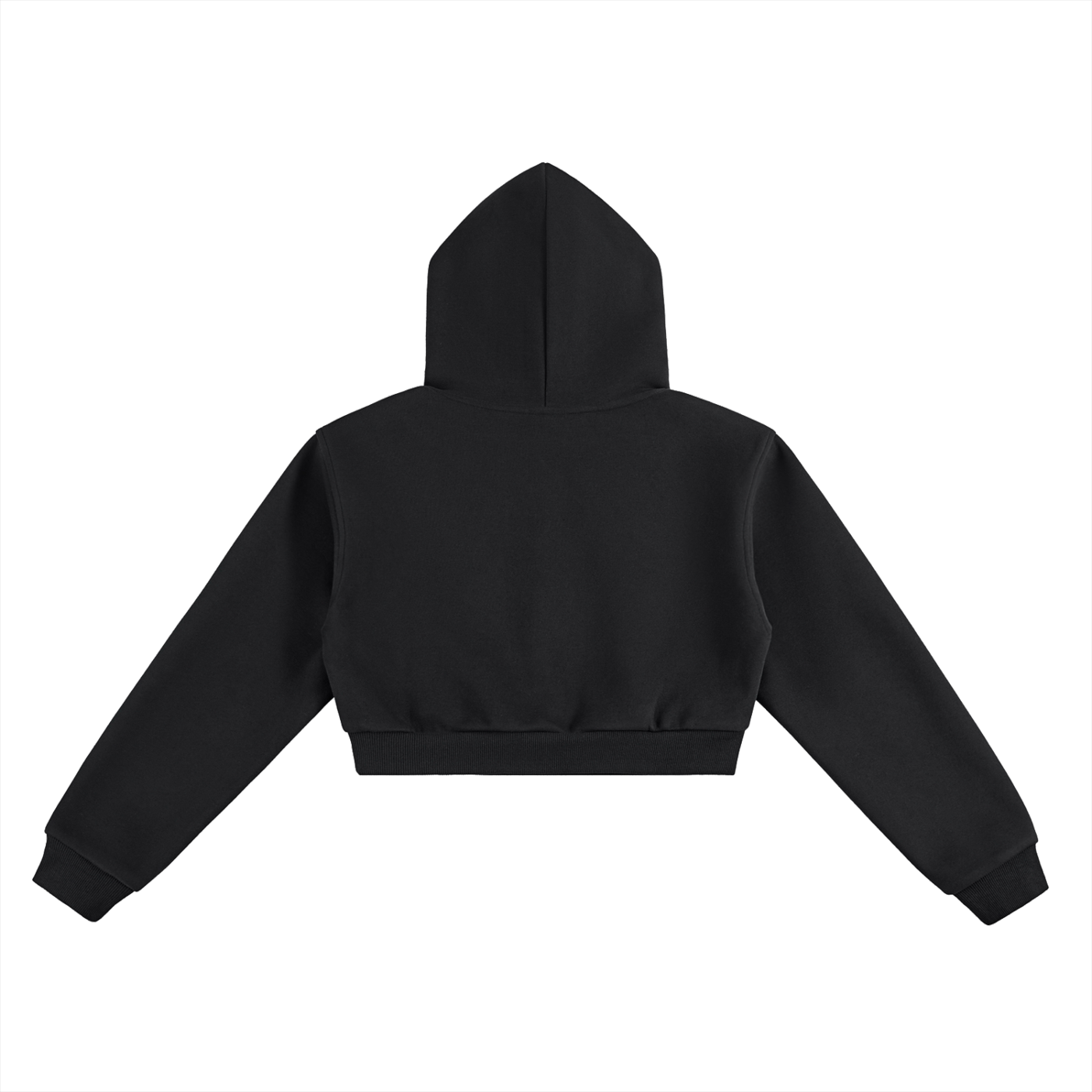 Women's Afterimage Cropped Hoodie