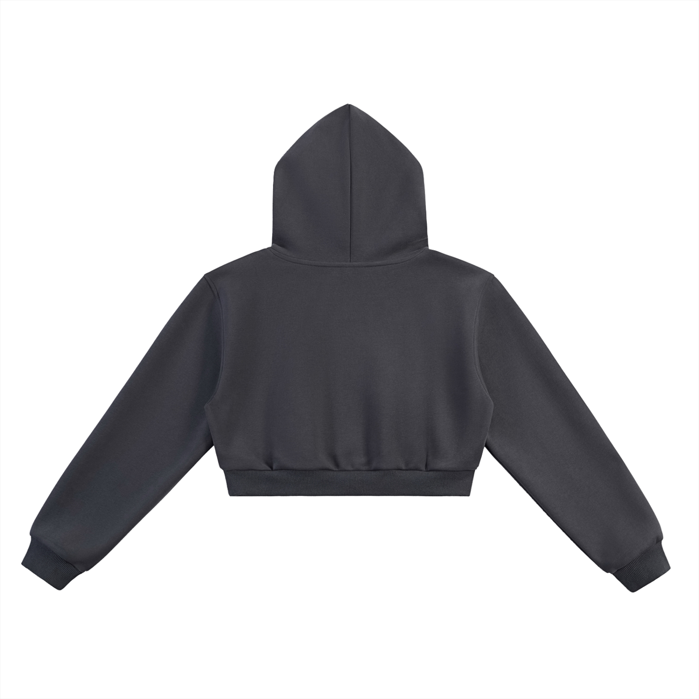 Women's Afterimage Cropped Hoodie