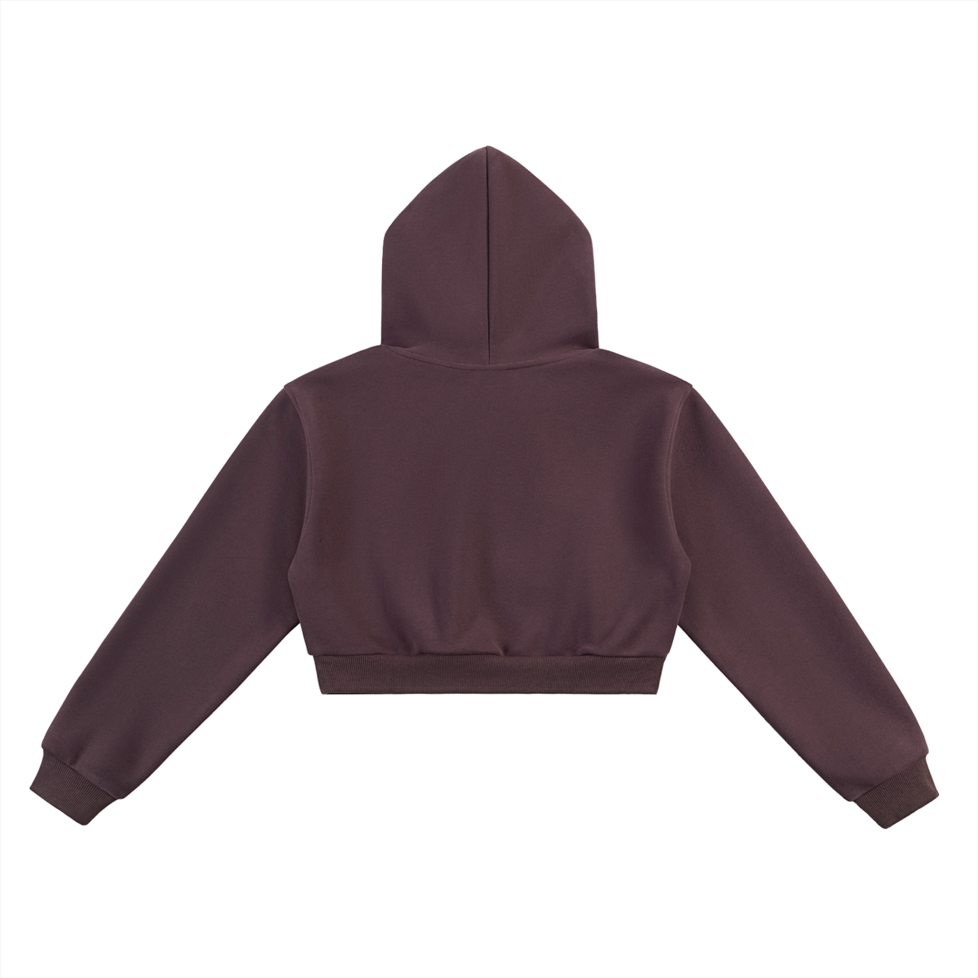 Women's Afterimage Cropped Hoodie